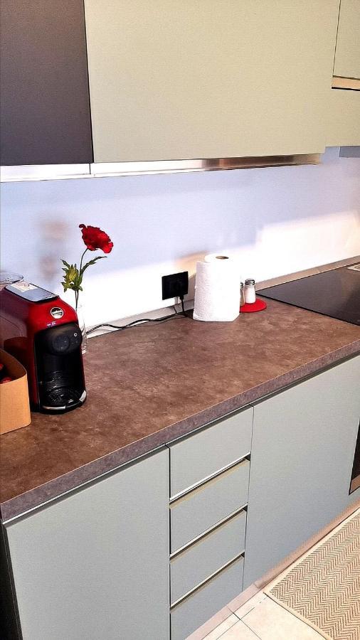 Rosolina Apartment エクステリア 写真